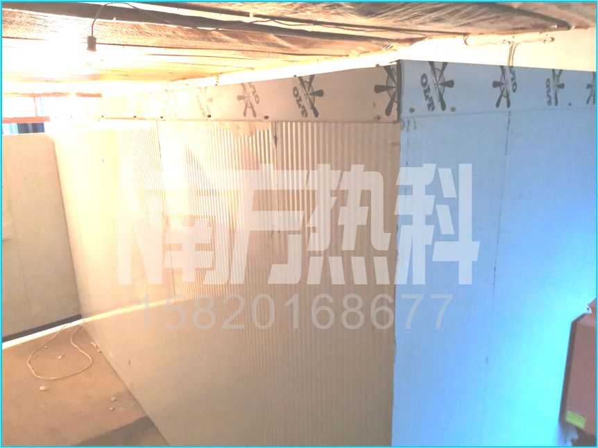陝西銀杏葉烘（hōng）幹(圖2)