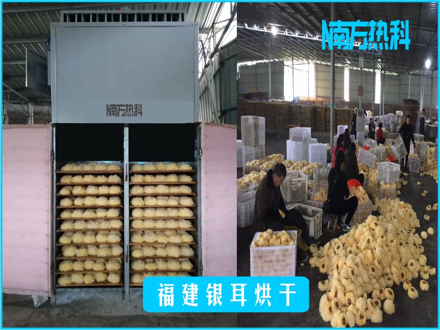 福（fú）建（jiàn）銀耳烘幹