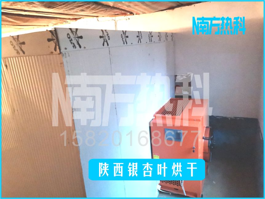 陝西銀杏葉烘幹