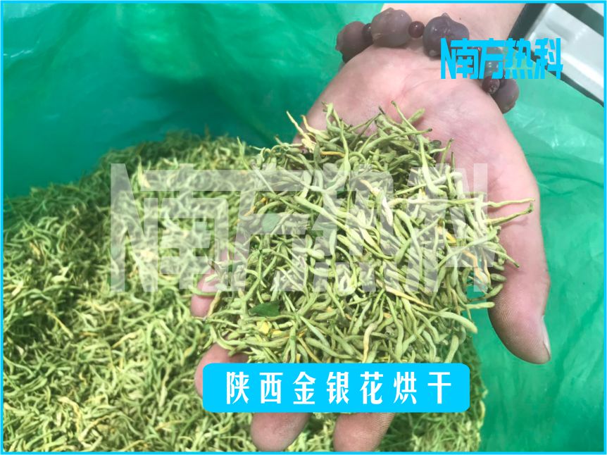 南方熱科金銀花（huā）空氣能熱泵烘幹（gàn）機烘幹工藝（yì）