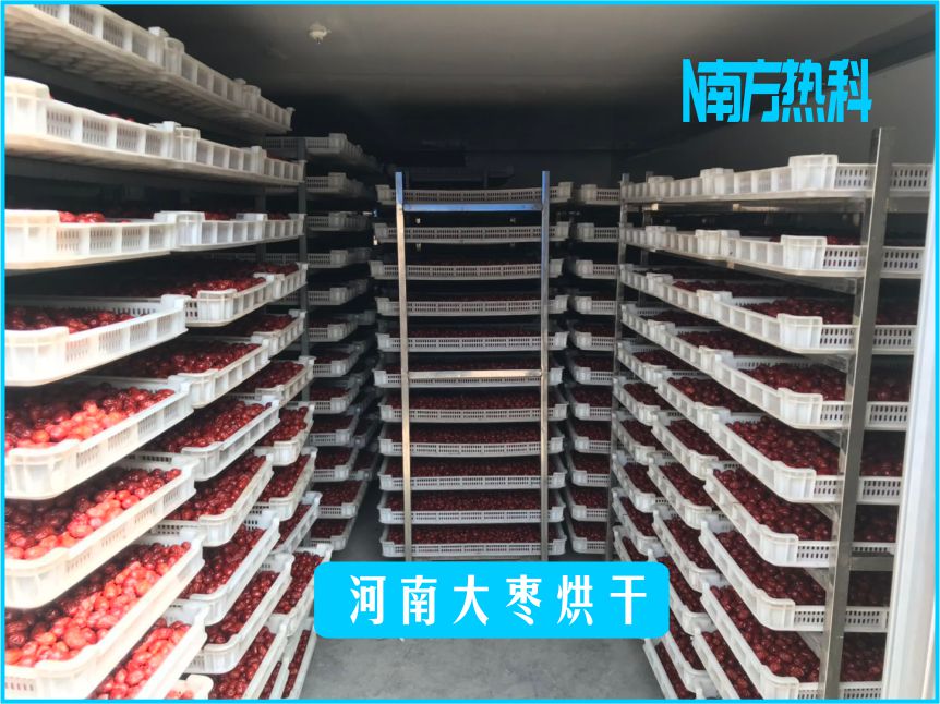 河南大棗烘幹(圖2)