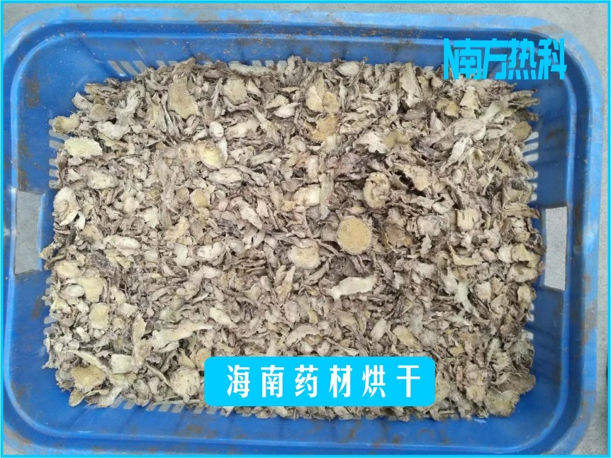 海南藥材烘幹(圖5)