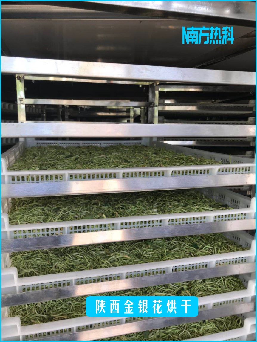 陝西金銀花烘幹(圖8)