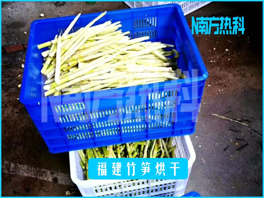 福建竹筍烘（hōng）幹(圖3)