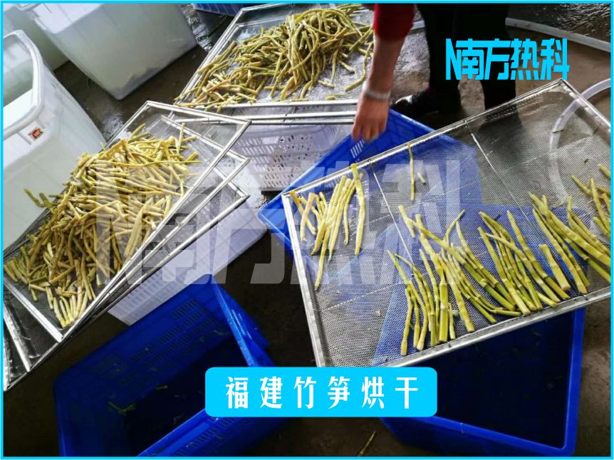福建竹筍烘幹(圖（tú）4)