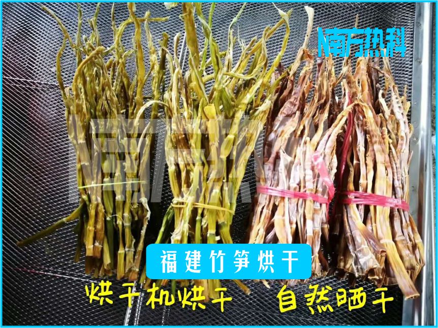 福建竹筍（sǔn）烘幹(圖6)