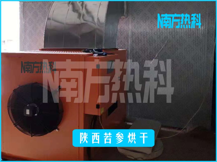 陝西苦參烘幹(圖1)