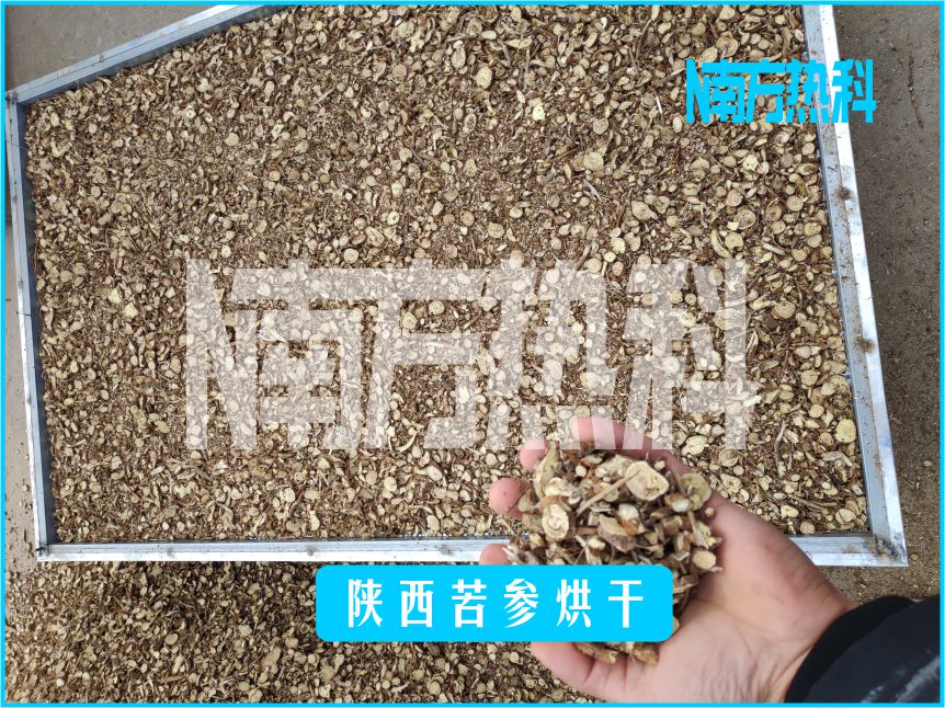 陝西（xī）苦參（cān）烘幹(圖4)