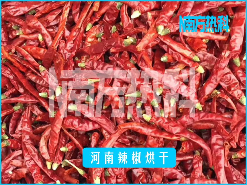 河南辣椒烘幹(圖4)