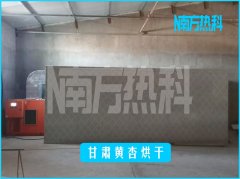 甘（gān）肅黃杏烘幹