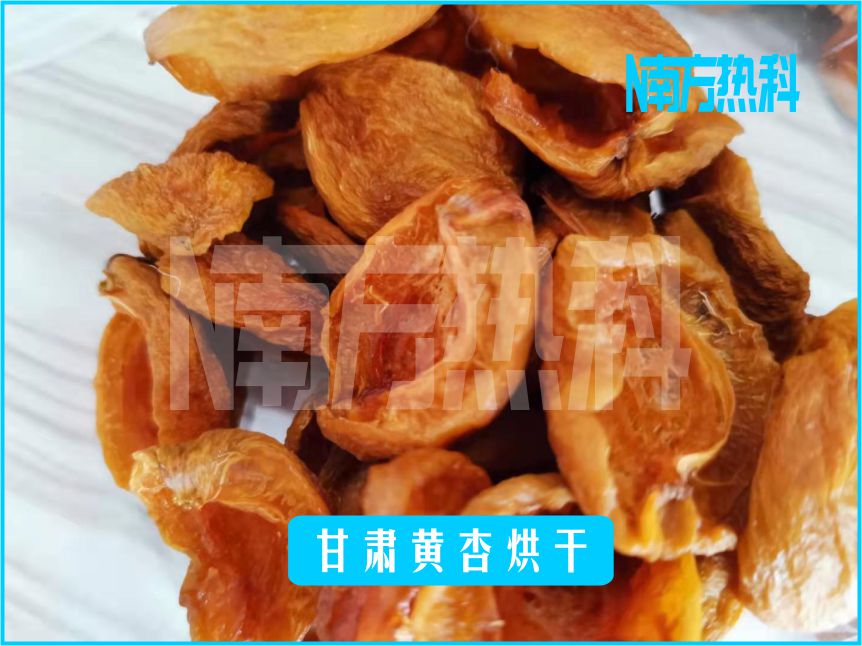 甘肅黃杏烘幹(圖4)
