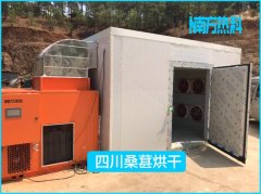 桑葚采用空氣能熱泵烘幹，節能省心品（pǐn）質佳